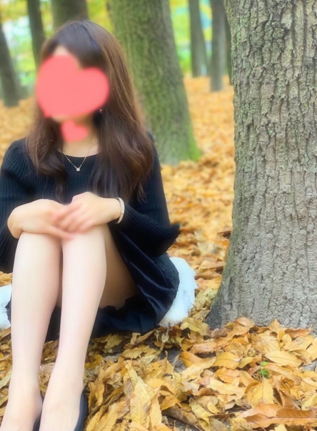 本日のお礼です  2