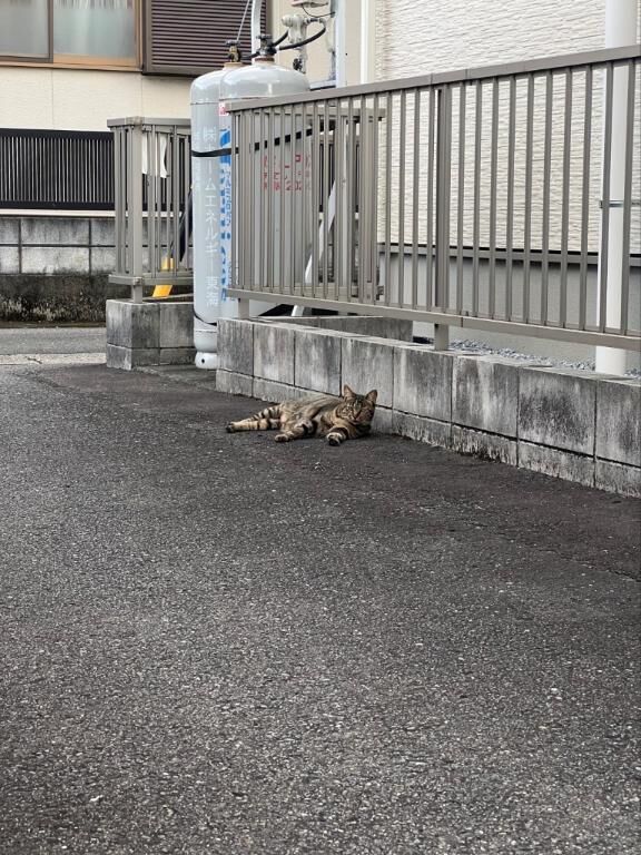 出勤しました