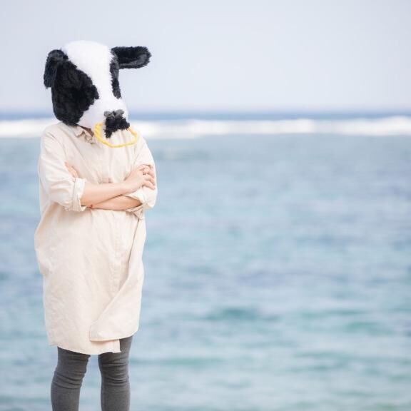 おはようございます