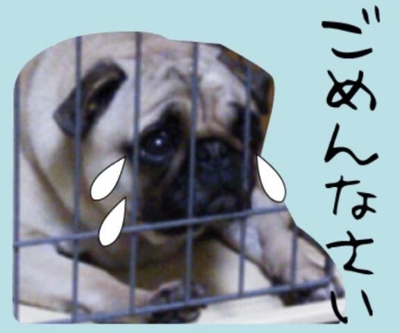 お休み&#128591;