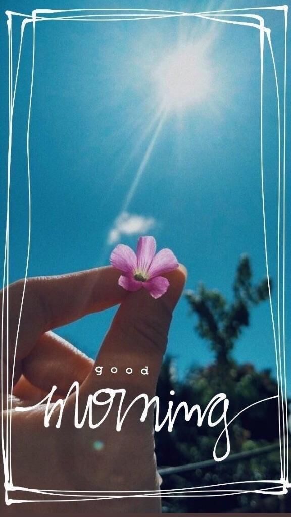 こんにちは&#9728;&#65039;