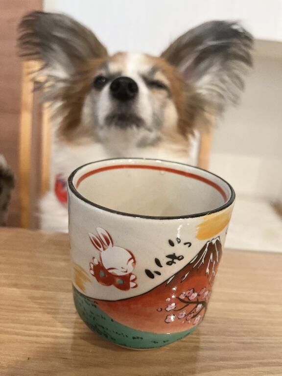 贈り物&#9825;
