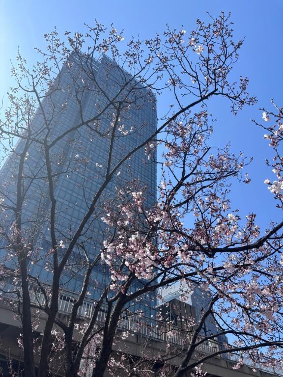 次回出勤、明日&#9825;空き枠14:00からです&#9825;