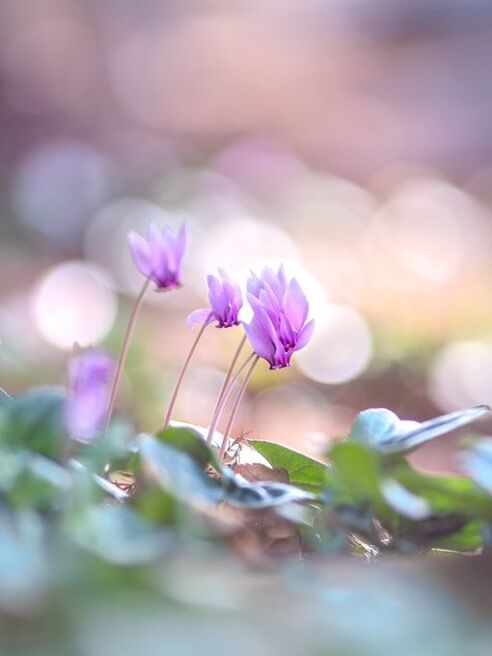 　鍵ないと