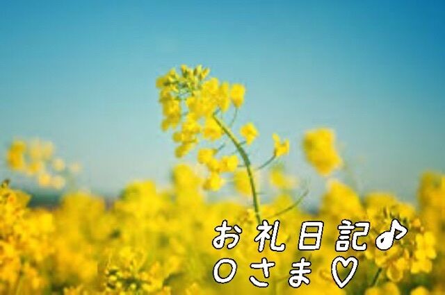 お礼日記