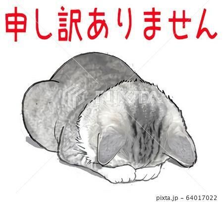 お休みします&#9825;