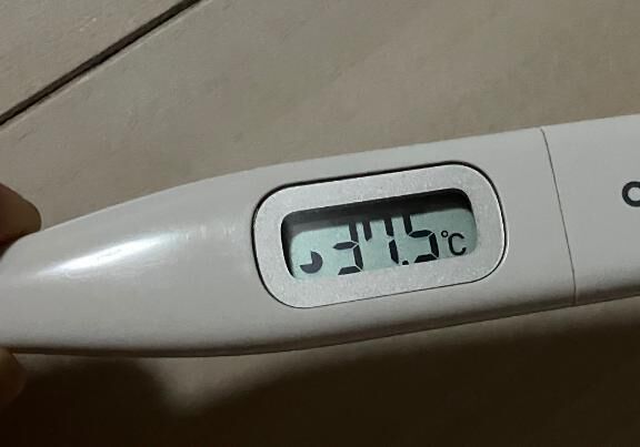 申し訳ございませんお休みします