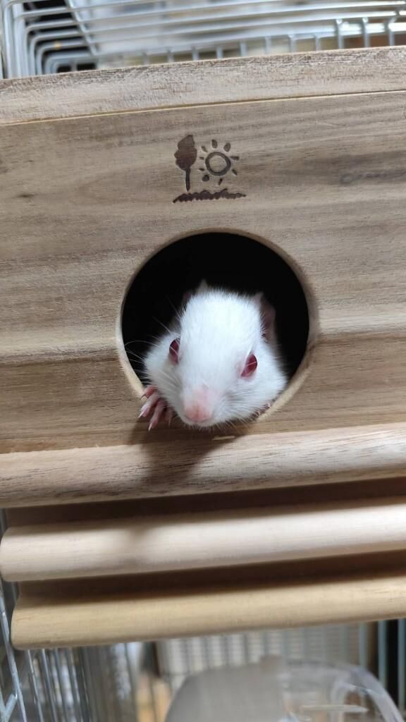 ぽかぽか&#9786;&#65039;&#128262;
