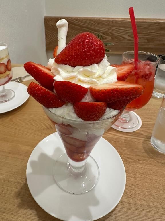 &#65039;&#129653;おでかけ