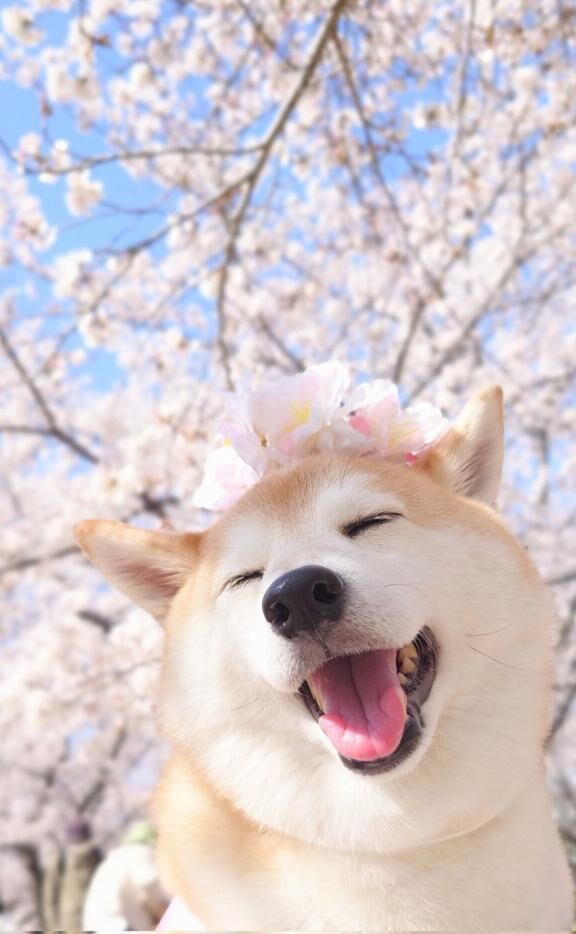 ちょっとのんびり