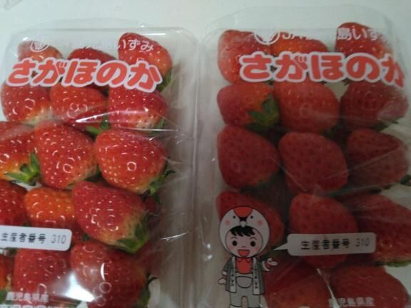 おはよう