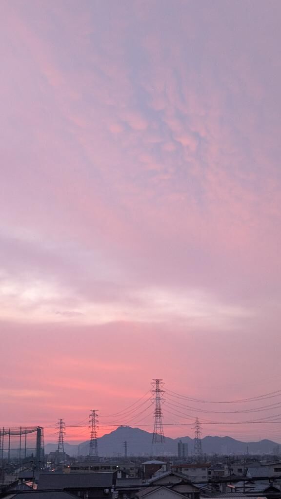 今朝は、