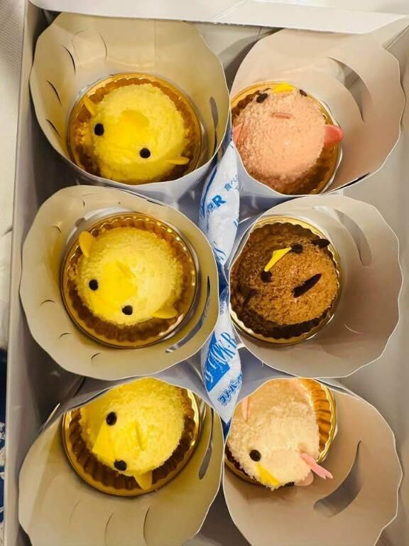 出勤完了です(^^*)
