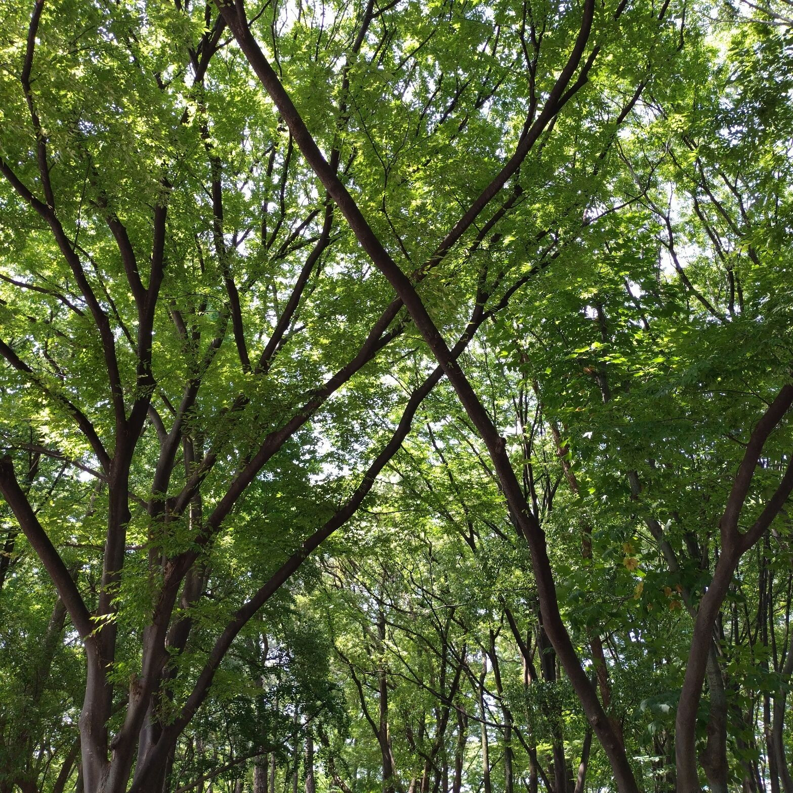 点検だったの