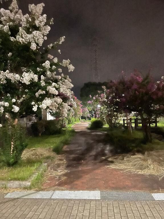 こんな時こそ