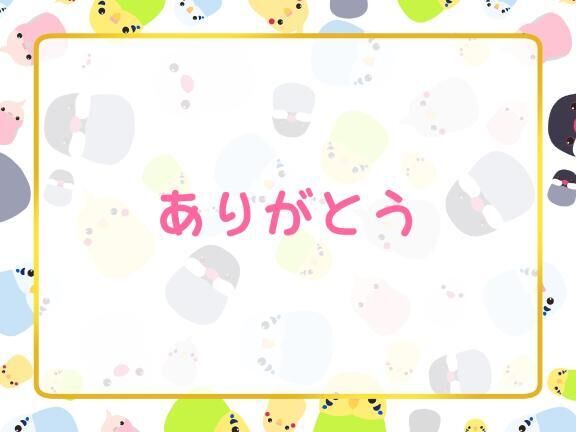 今日のお礼と明日♪
