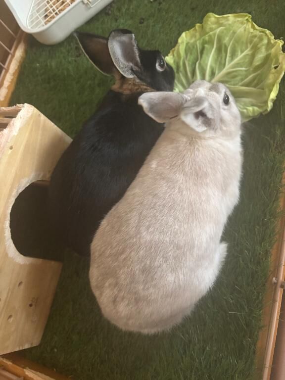 &#9825;