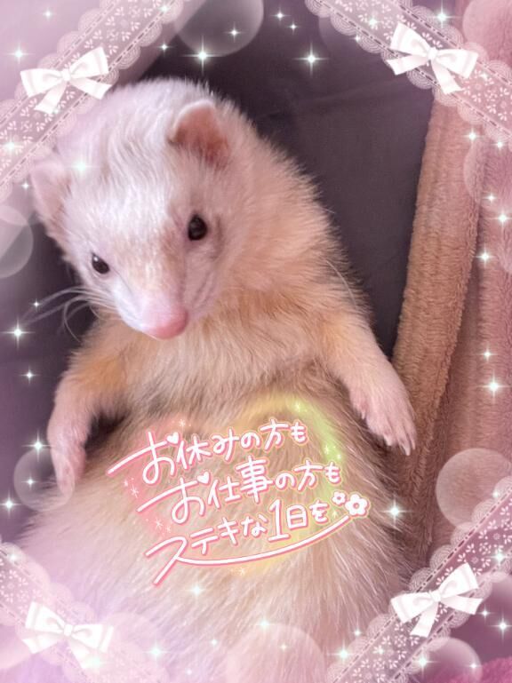 ちみ毛量&#9825;&#9825;