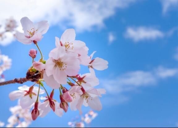 本日出勤&#9825;