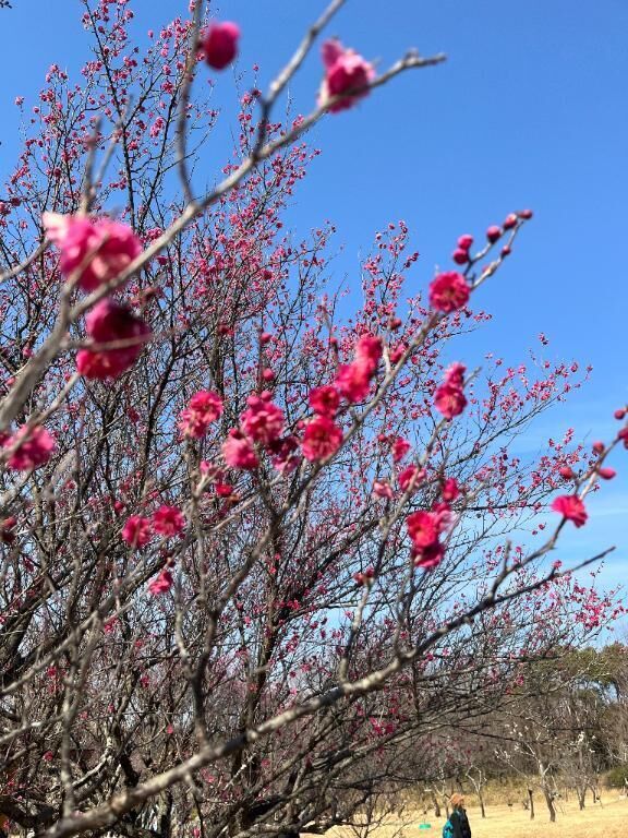 お休みです&#128534;