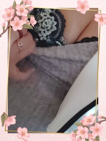 山本みゆきです。