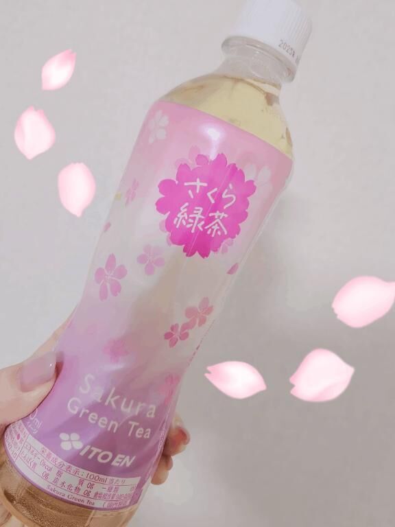 3/24 H様&#129528;&#128140;元気いっぱい♪&#65038;お花見楽しかったな♪*ﾟ