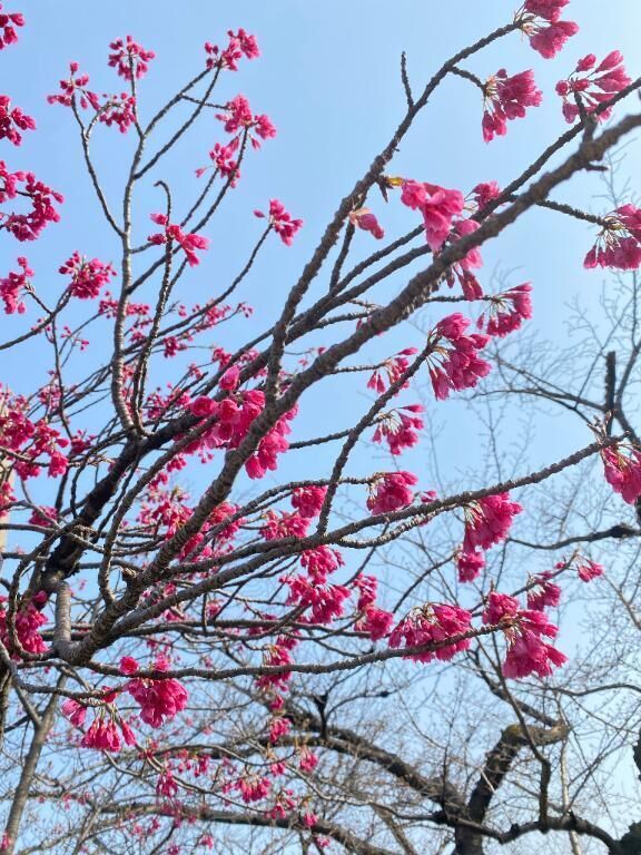 出勤したよ&#9825;