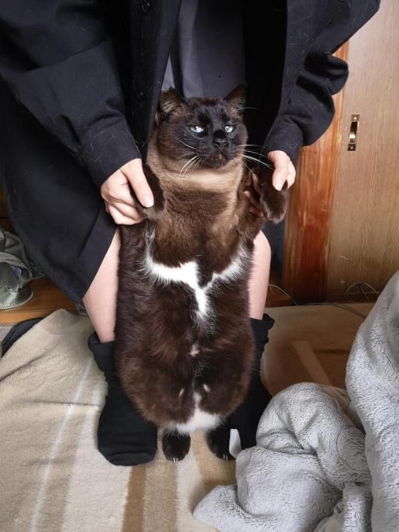 やらかした笑