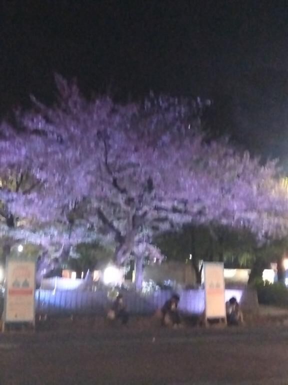 おぉぉぉぉー&#10024;