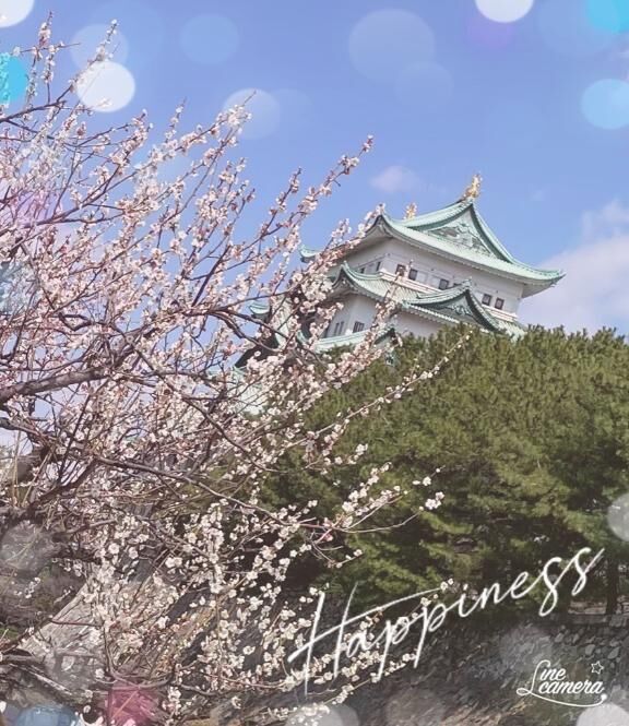 桜まつり&#9825;