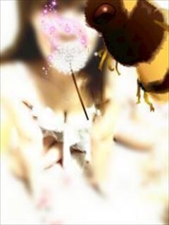 ホテルSのお客様へ