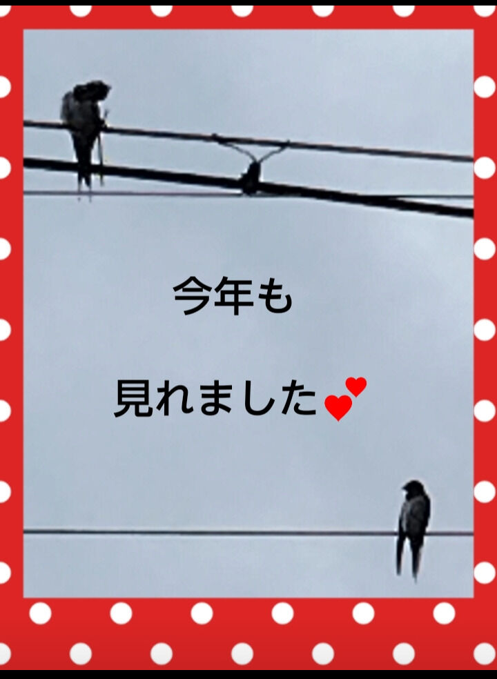 有り難う御座いました&#127925;