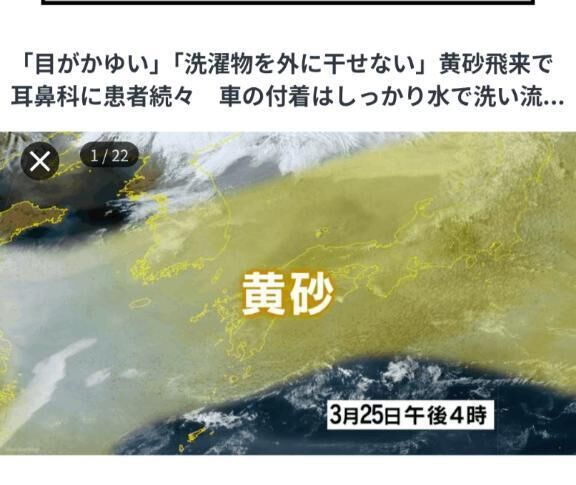今日は、