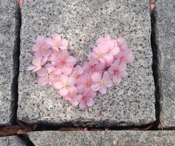 おはようございます