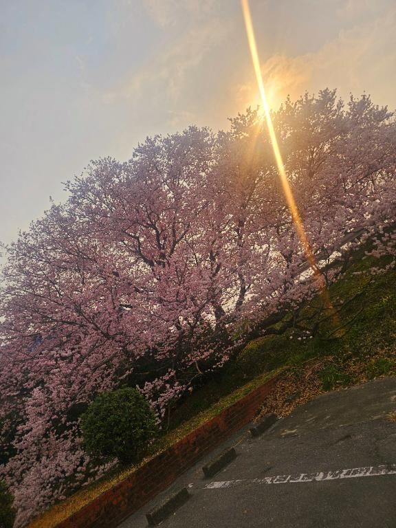 おはようございます&#x301C;♪