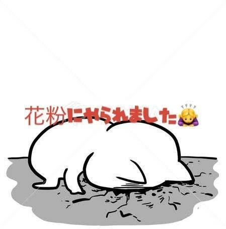 本当にごめんなさい&#128583;&zwj;♀&#65039;
