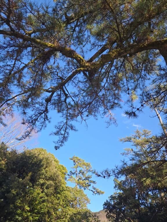 おはようございます&#9728;&#65038;