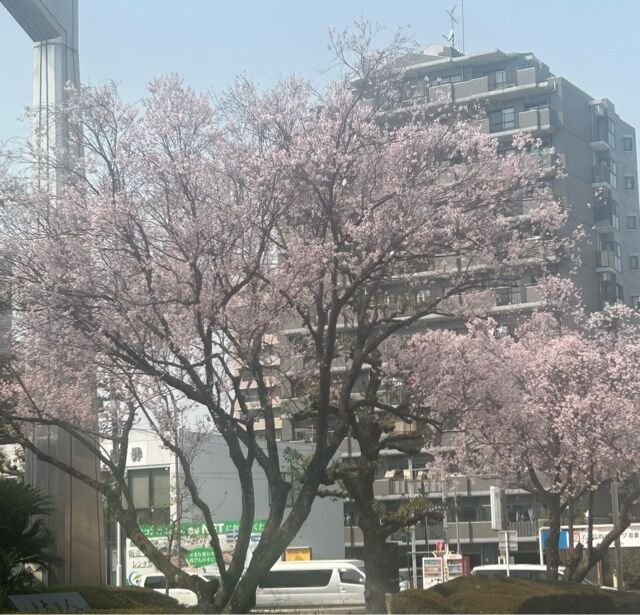 出勤です