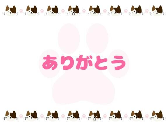 今日のお礼と明日♪