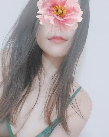 お休みです。