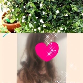 おはようございます♪