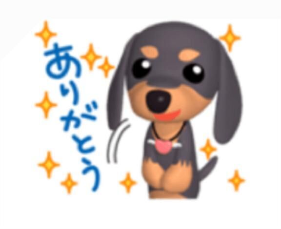 P指様、ありがとう