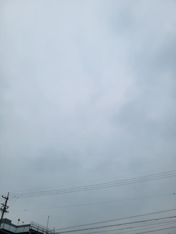 おはようございます！
