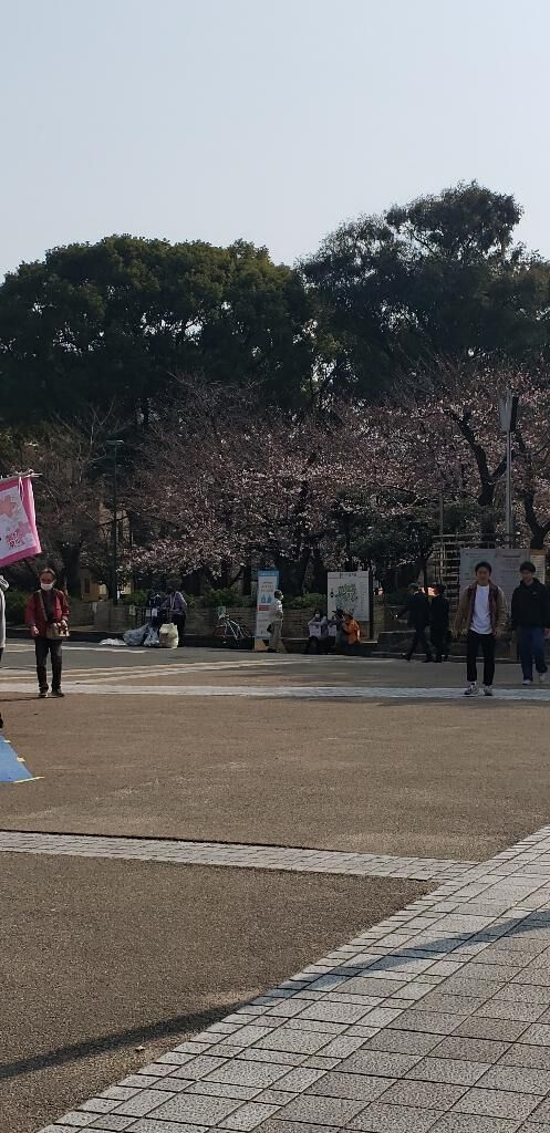 お疲れ様です