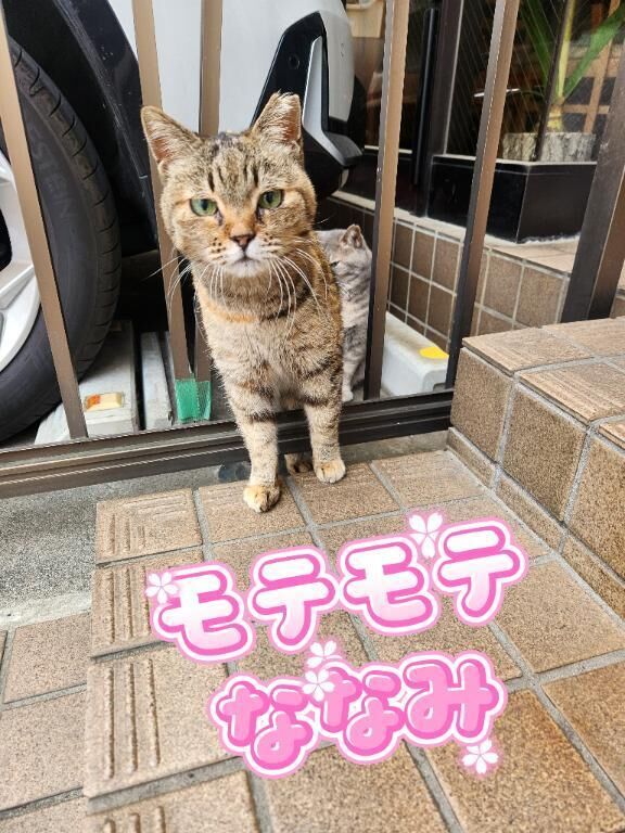 モテモテ&#10084;&#65039;