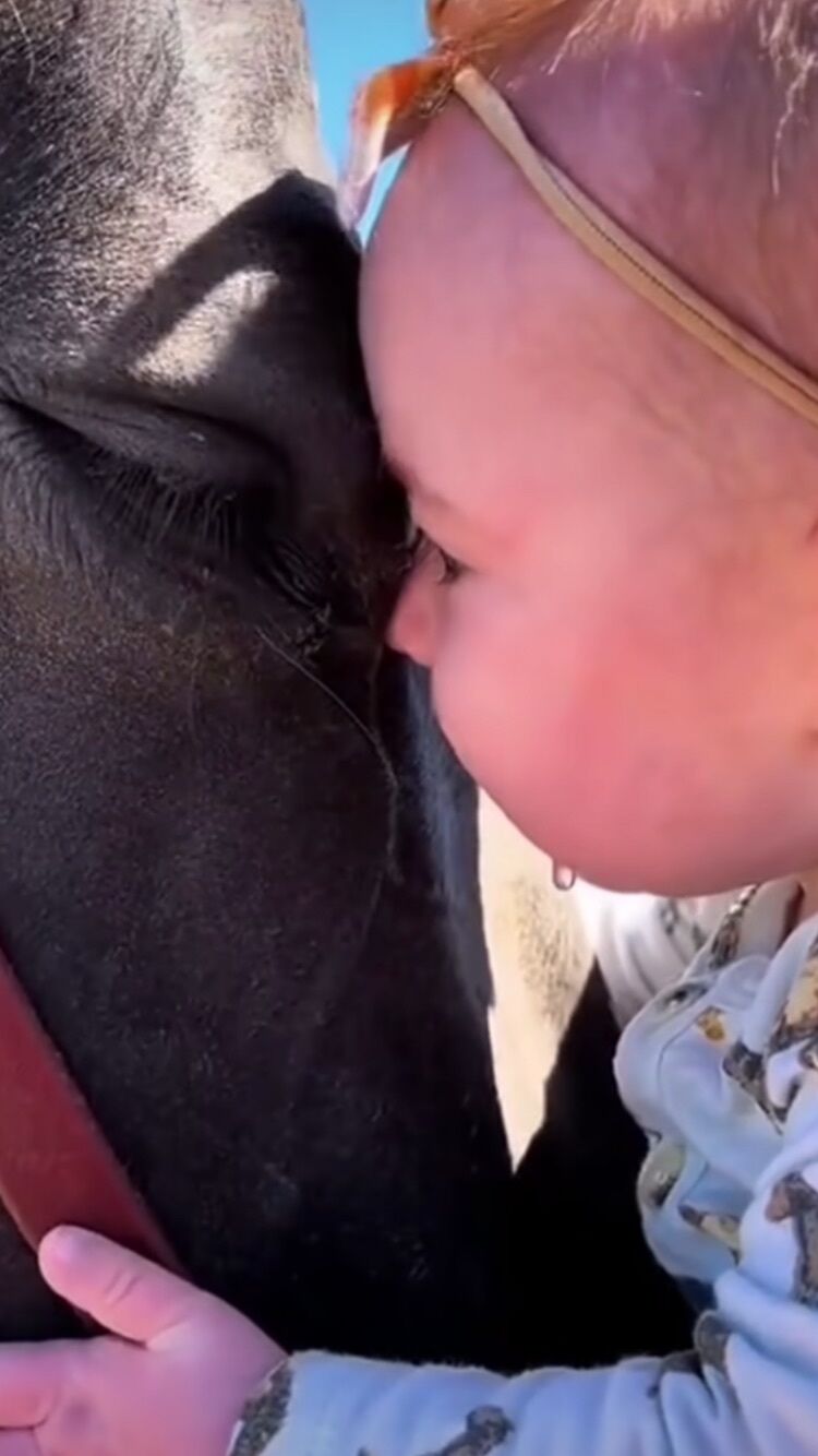 こんばんわ……