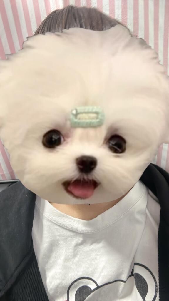 &#9825;&#9825;&#9825;