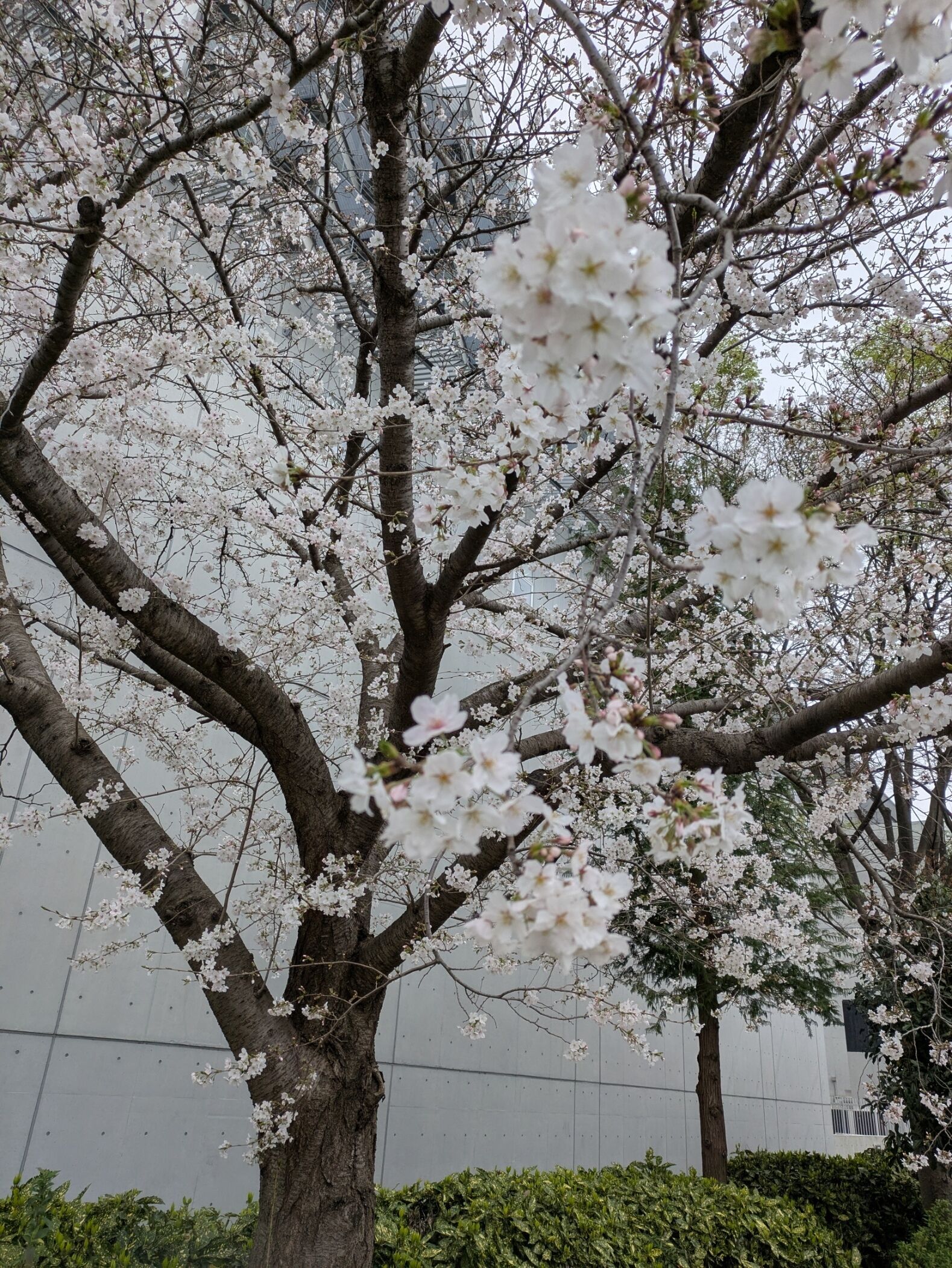 出勤準備中