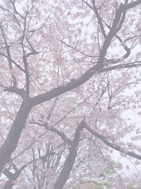 &#9825;出勤です&#9825;