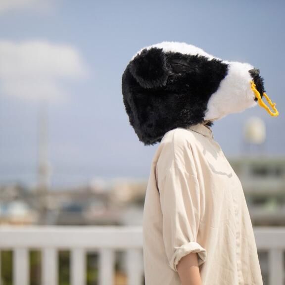 おはようございます